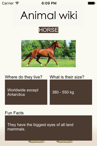 Animal wiki screenshot 2