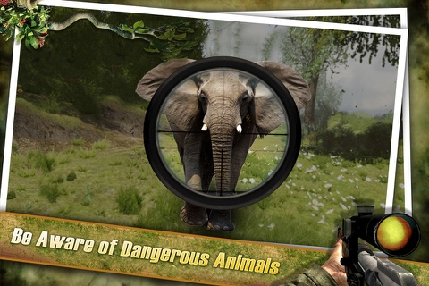 Jungle Sniper Wild Hunting 3D : Dark Forest Sniper Shooting Strike screenshot 3