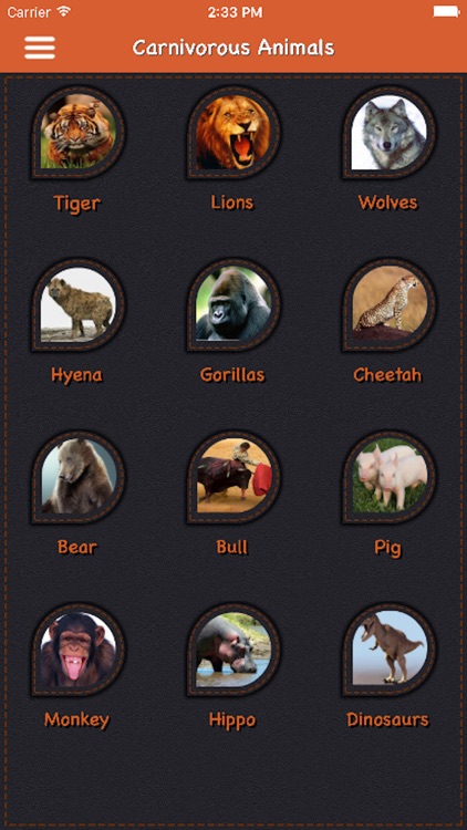 Animal Sound For Child