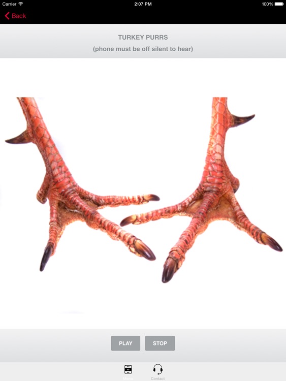 TURKEY CALLS for Hunting Fall Turkeys -- (ad free) BLUETOOTH COMPATIBLE screenshot-3