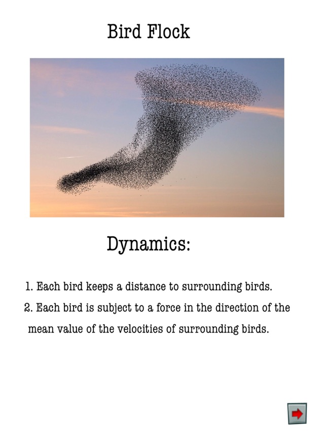 Bird Flocking: NewMath(圖2)-速報App