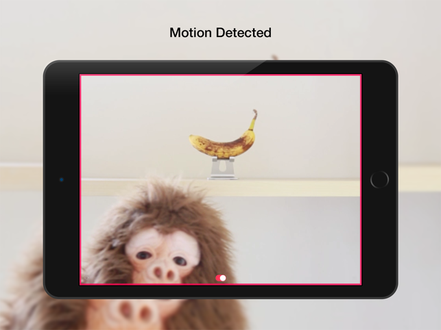 ‎Cambush - Motion Detector Video Camera - Surveillance, Detection, Security, Spy Cam App Screenshot