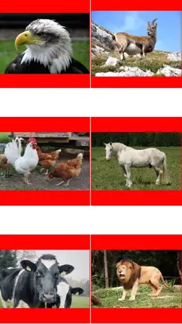 Game screenshot Animal Picture Matching Kids Games:Memory Matches hack