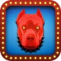 Red Dog Poker app download