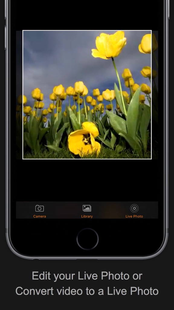 【图】Live Mix for Live Photo – edit, convert and mix(截图1)
