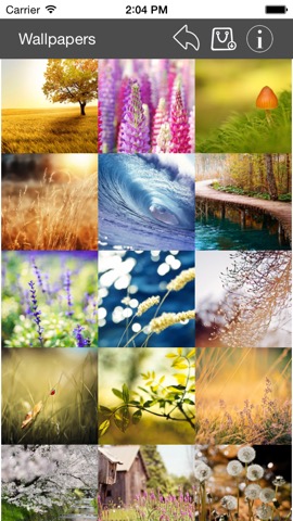 Wallpaper Collection Nature Editionのおすすめ画像2