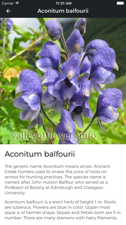 Valley of Flowers screenshot-3