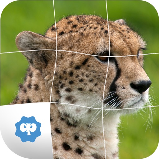 Animal Puzzle only for Kids Icon