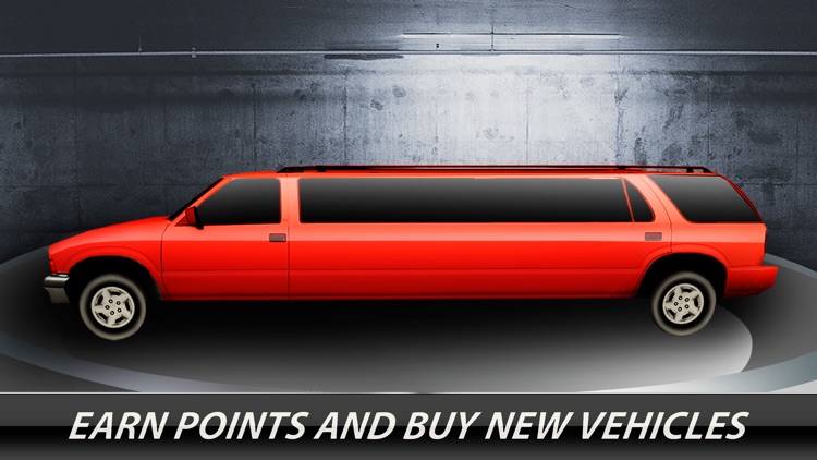 Hotel Limo Driver: Valet Parking