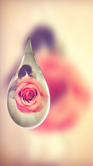 Pip Camera ++  2nd Gen Pic in Pic Photo Effects Editor(圖1)-速報App