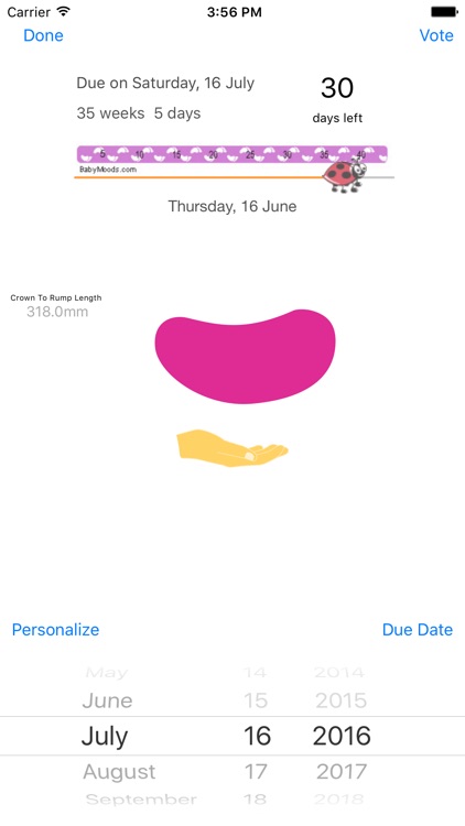 My Pregnancy Ticker