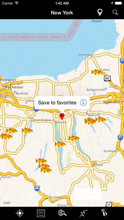 New York: Lakes & Fishes screenshot-4