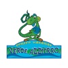 Verde Azzurro