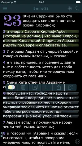 Game screenshot Аудио Библия Синодальный Перевод. Bible in Russian hack