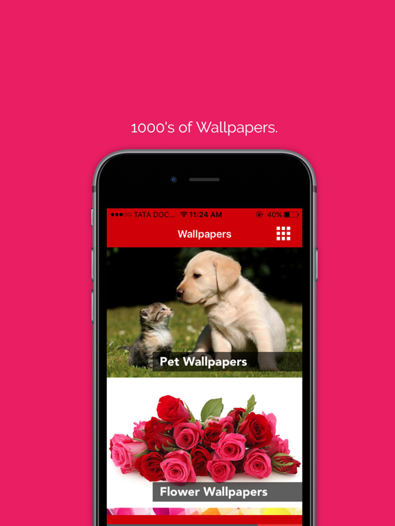 Screenshot #4 pour Pet wallpaper pictures : Background of flowers, cats and dogs for your mobile lock screen