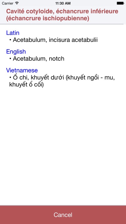 Anatomy Dictionary