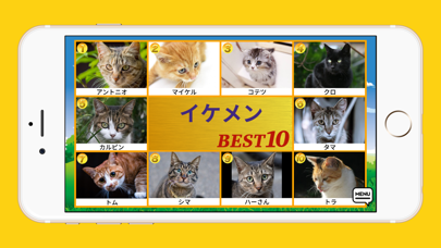 PhotoRankingのおすすめ画像2