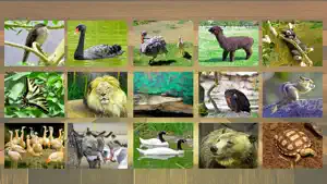 jigsaw puzzle kids what is an animal screenshot #5 for iPhone