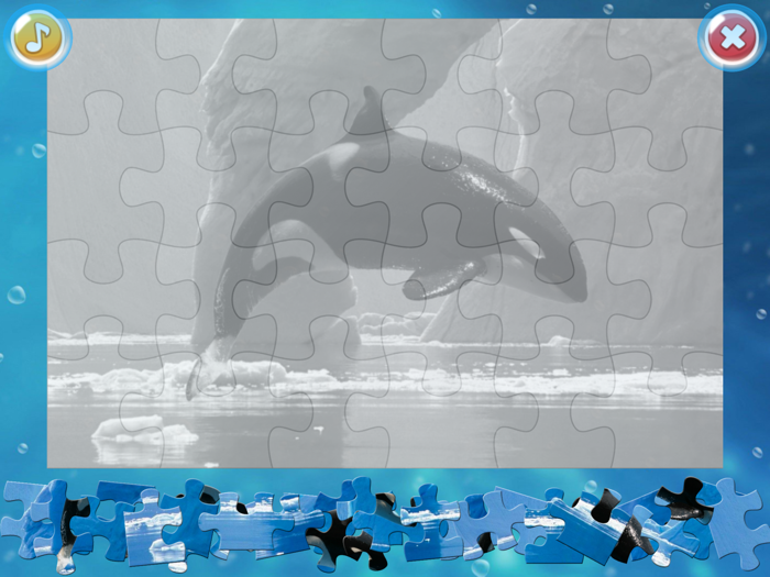 Arctic Animals Puzzle
