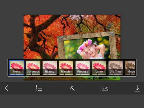 Screenshot #6 pour Autumn Photo Frames - Creative Frames for your photo