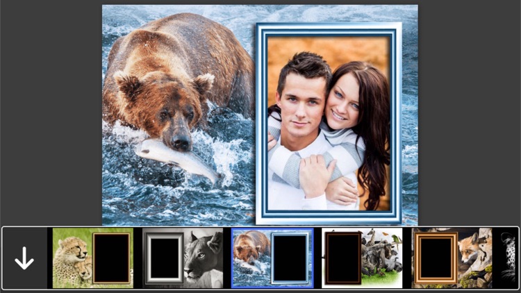 WildAnimal Photo Frame - Amazing Picture Frames & Photo Editor