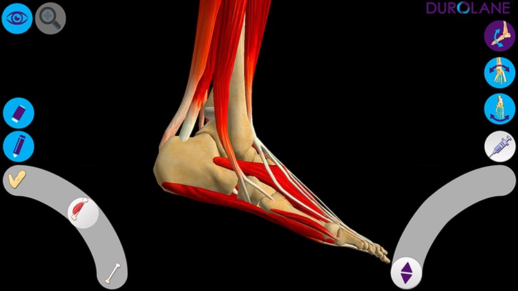 Durolane Realidad Aumentada