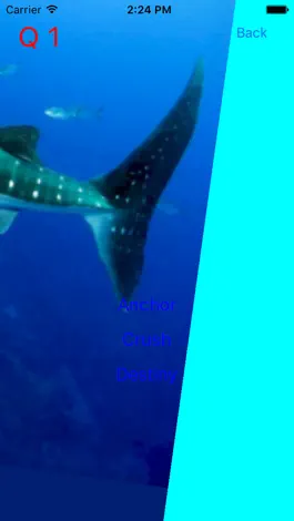 Game screenshot Who Is This ? for Nemo & Dory hack