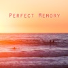 Perfect Memory Camera