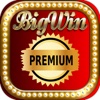 Double Coins Casino Slots Machines - Vegas Machine