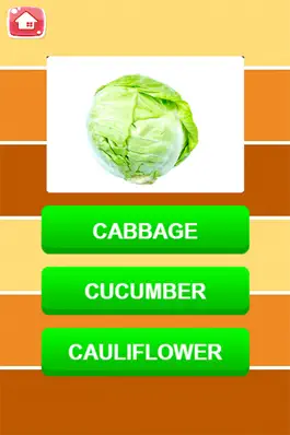 Game screenshot Learning English Vocabulary With Picture - Vegetables hack