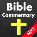 65 Bibles and Commentaries with Bible Study Tools App Support