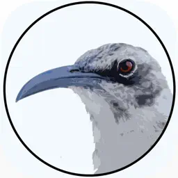 BirdsEye Galápagos app icon