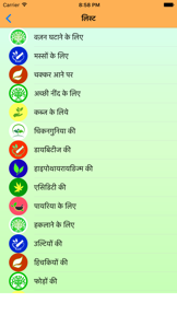 Ayurvedic remedies Hindi screenshot