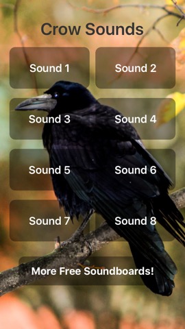 Crow Soundsのおすすめ画像1