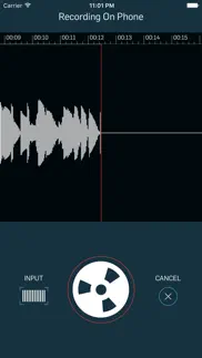 wiretap riff recorder iphone resimleri 2