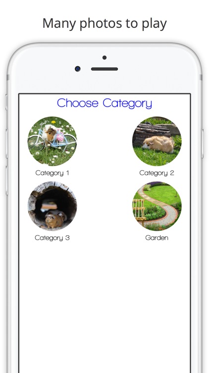 Find the Difference in Guinea Pig screenshot-4