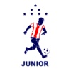 2WaySports Junior Version