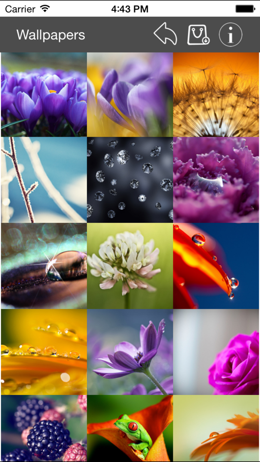 #4. Wallpaper Collection Macro Edition (iOS) 由: Nitrio