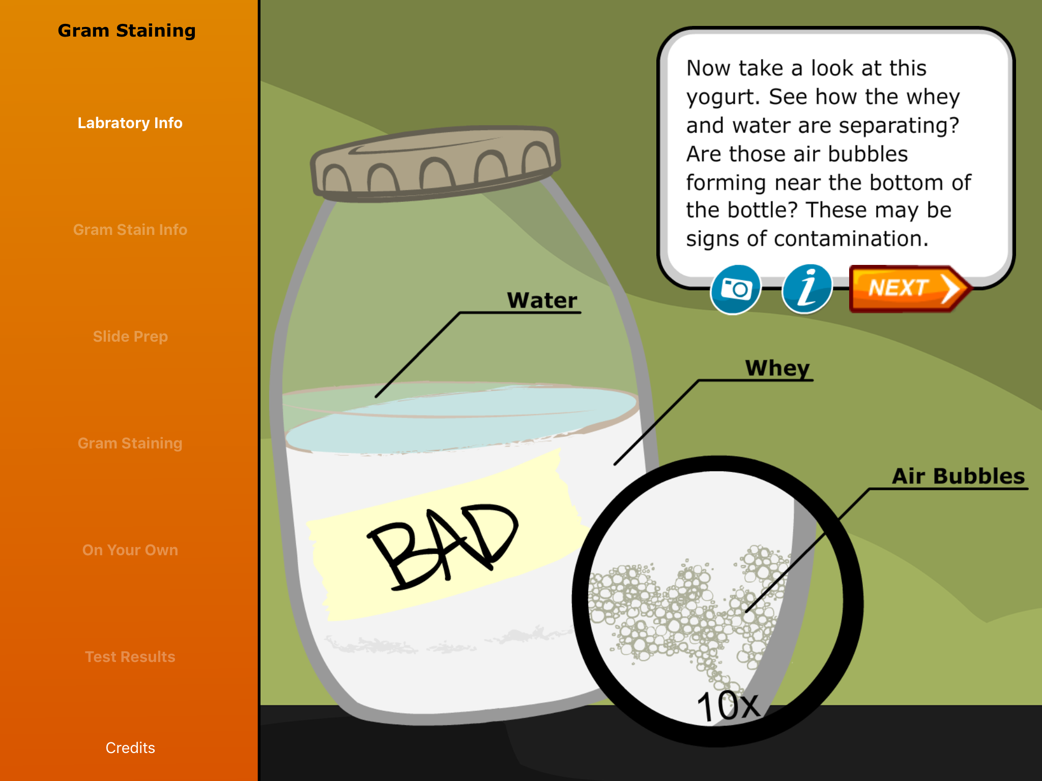 Virtual Labs: Gram Staining screenshot 3