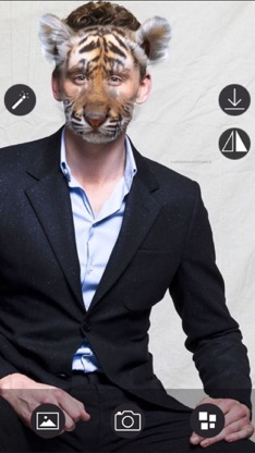 Animal Face - Selfie Editor & Stickers for Pictures screenshot 2