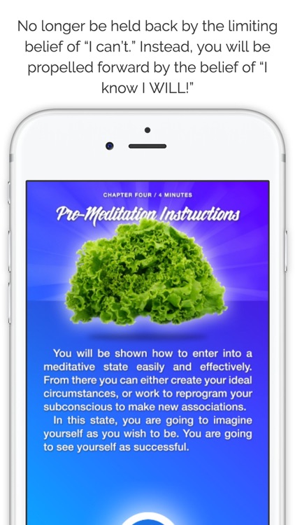 Meditation Diet