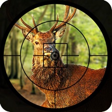 Activities of Safari Animal hunting  2016 – deer, bear and fox shooting game to increase the shooting level.