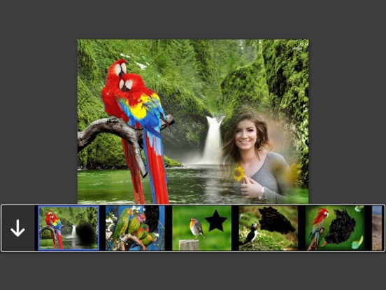 Screenshot #4 pour Bird Photo Frames - Creative Frames for your photo