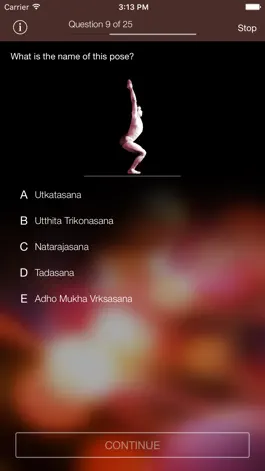 Game screenshot Sanskrit-Yoga apk