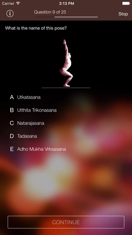 Sanskrit-Yoga