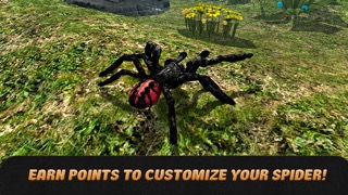 Spider Life Simulator 3Dのおすすめ画像4