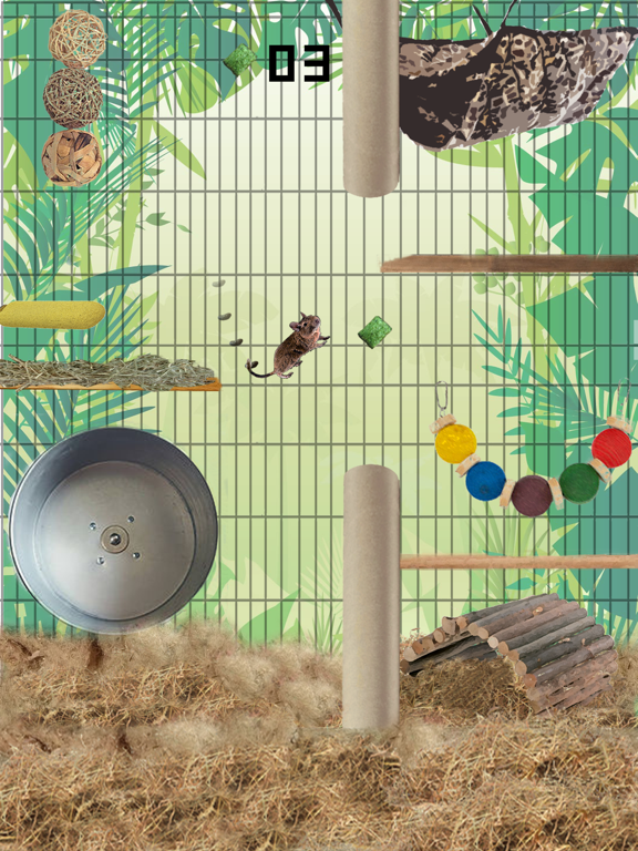 Screenshot #5 pour Donny Degu