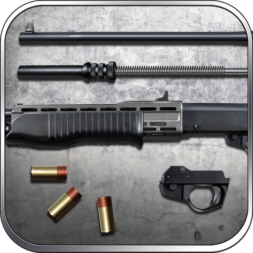 SPAS-12: Special Purpose Automatic Shotgun, Shoot to Kill - Lord of War icon