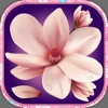 Flower Wallpaper – Pretty Screen Lock.er And Floral Background Picture.s