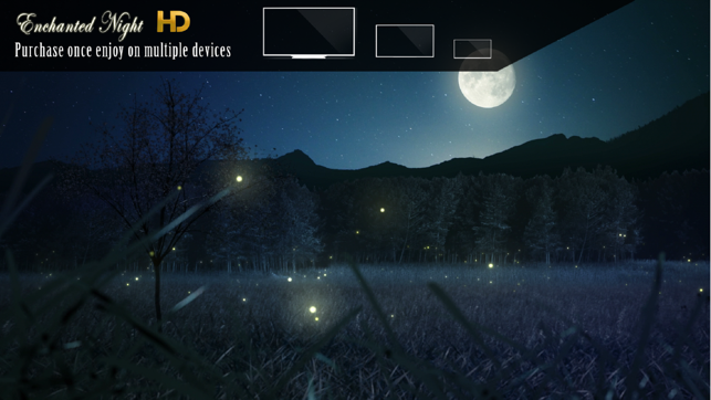 Enchanted Night HD(圖2)-速報App